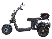 Электротрицикл SKYBOARD Irtysh TRIKE BR40-3000 PRO FAST OFF-ROAD - Фото 3