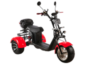 Электротрицикл SKYBOARD TRIKE BR60-3000 PRO - Фото 9