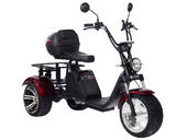 Электротрицикл SKYBOARD TRIKE BR80 - Фото 0