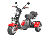 Электротрицикл White Siberia PRO TRIKE 3000W - Фото 0