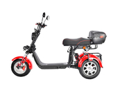 Электротрицикл White Siberia PRO TRIKE 3000W - Фото 2