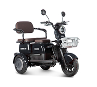 Gelbert Sun 48V/60V 650Вт