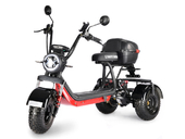 Электротрицикл WHITE SIBERIA TRIKE MINI 1500W - Фото 0